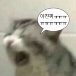 아 ㅅㅂ 얘들아 나 어떡함 아빠생일 잘못 앎ㅠ