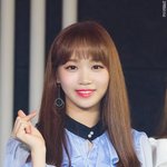 르세라핌 김채원 코 성형