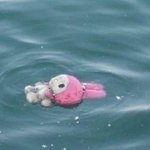 [19] 밖에서 이러고 입고다니면 2억줌
