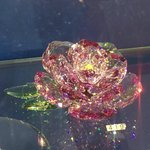 나 짝눈이 너무 심함..