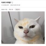 너넨 밥으로 <b>감자</b>먹는다 치면
