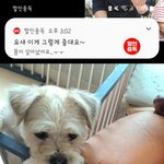 ㅁㅎ 유기사건