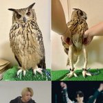 [군대] ㅋㅋㅋㅋㅌㅋㅋ정구기 다리<b>수납</b>