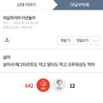 [이것좀봐줘] 내가 제일 좋아하는 <b>판글</b>……