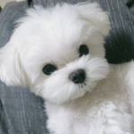 [드루와] 내 썸남 누나있는거 오늘 첨앎