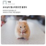 꾸미는 남자애들 <b>은근</b> 많지않냐