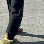 ?: <b>OO</b>여~ / ??:!!!!