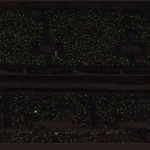[NCT드림] 카메라가 관객석 <b>겁나</b> 찍던데