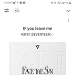 [세븐틴] ㅅㄷ 콘서트