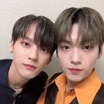 연예계 닮은꼴 모음