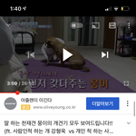 와 살면서 이렇게 <b>똑똑</b>한개 처음봄