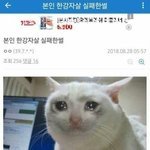 이정도면 개쌉폭식인가