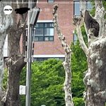 <b>송강</b>한소희 ㅈㄴ억울하겠다