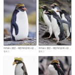 [NCT드림] 아 헐 런쥔이 머리 이거였네???