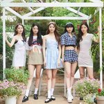 르세라핌 5<b>인조</b>가 훨 보기좋음