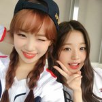 근데 <b>어</b><b>그</b>로 구분 확 되지 않냐