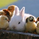 키빼몸만 보는 애들이 제일 이해 안 감