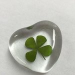 <b>전판</b>녀는 이제