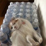 [댓글부탁해] 사회문화 알려<b>쥬</b>ㅠ