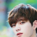 얘들아 엘 지금 나왔으면 차은우랑 <b>투</b><b>탑</b>가능?