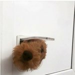 [19] <b>B컵</b>이 원래 이렇게 작은 거냐