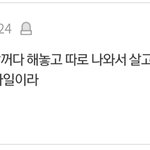 웬디 <b>의외네</b>