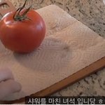 문채원 브이로그 감성 너무 그립다