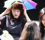 덕후 잇몸 마르게 만드는 <b>말랑</b> <b>강</b>아<b>쥐</b>