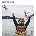 [ㅈㄱㄴ] 오늘 나애 계회구.
