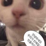 [드루와] 나 <b>학급</b> 교체 될거 같은데