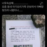 [귀여운동물] 현재 난리난 <b>오리</b>가족 돌팔매 학살 사건.