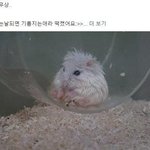 [드루와] 진짜 개뜬금없는 <b>버킷</b>리스트 말해주라