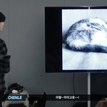 [NCT드림] <b>고양이사진</b> 구경하는 뒷통수들이 넘 귀여워