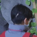 "<b>판사</b>옷 벗고 다른 일 하라"…학대 양부모 '집유'에 뿔난 의사회