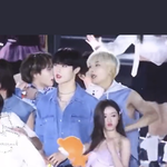 같은 <b>종족</b> 맞냐