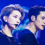 난 요즘 이짤보고 세븐틴 간잽시작함