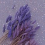 [19] 성희롱한 중학교 교사 교육청에 <b>민원</b>넣으려는데 이거 될까