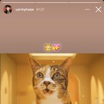 [군대] 죄홉인스스ㅠㅠㅠ