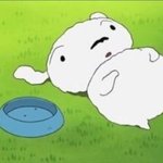 [댓글부탁해] 애들아 밥 혼자먹는거 어때보임?