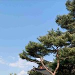 고2 수열 벼락<b>치기</b> ㄱㄴ?