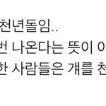 [군대] 천년<b>돌임</b>