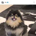 아시아 최초 좋아요 2천만 <b>슈스</b>