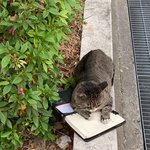 [19] 너네 좋아하는 애 <b>성씨</b> 적고가