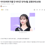 아이유악플고소 <b>징역</b>8개월