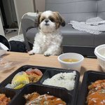 [19] 원래 남자들끼리 <b>무릎베개</b>함?