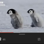 시험공부는 왜 이렇겍 하기<b>시르</b>냐