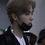 [댓글부탁해] 내 남돌 취향 이 정도면 소나무임?