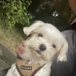 방금 폰 떨궜는데 전면 카메라 <b>박살</b> 났을까바