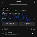 [스키즈] 멜론 듣는 테이 이거 꼭!