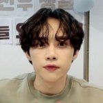 더보이즈 <b>선우</b> ㄹㅇ 초코푸들